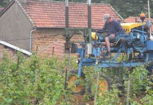 tracteur dans les vignes