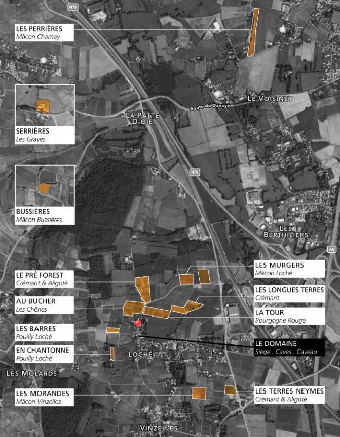 plan des parcelles Domaine Céline & Laurent Tripoz Bourgogne Sud